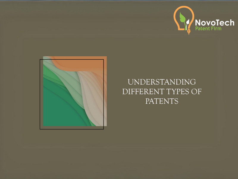 Understanding Different Types of Patents