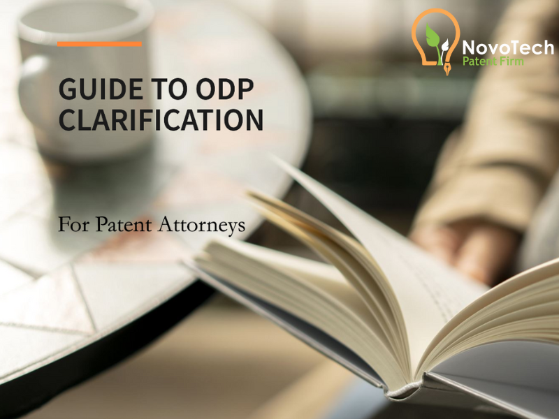 A Guide for a Patent Attorney