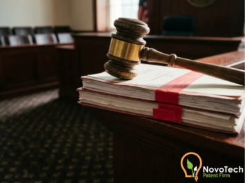 NPE Injunction Rights